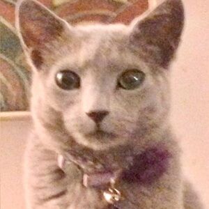 Meet Lulu (20) and Emily-nice to be here! Every item is in top condition-Promise